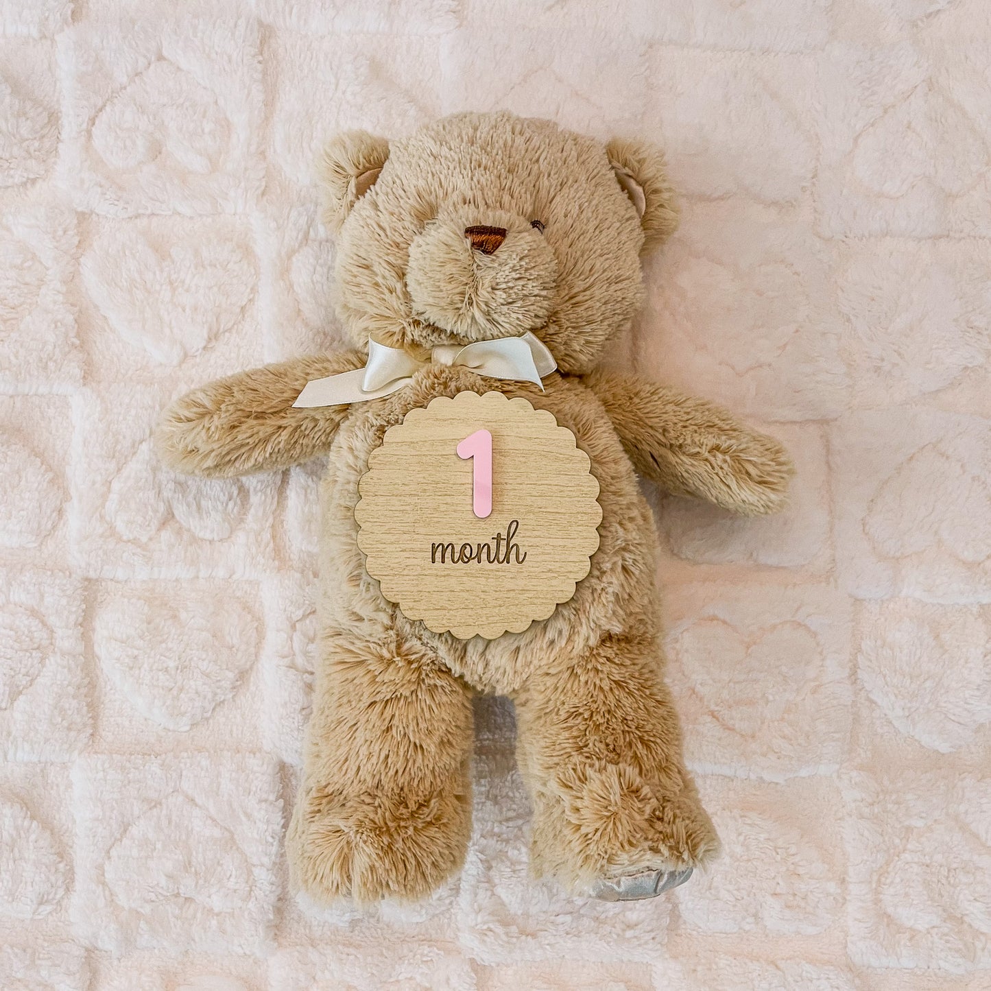 Baby Milestone Markers – Monthly Photo Props - Baby Shower Gift
