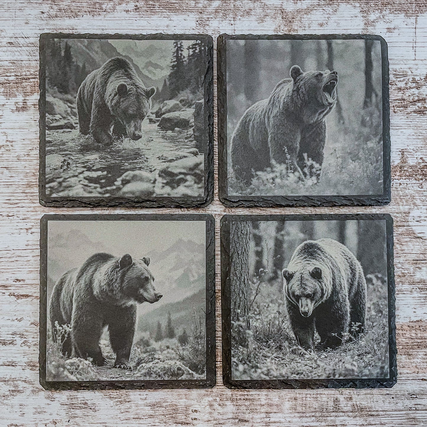 Slate Coasters with Bear Wildlife Scenes – Rustic Drink Coasters for Nature Lovers, Cabin Décor, and Gifts