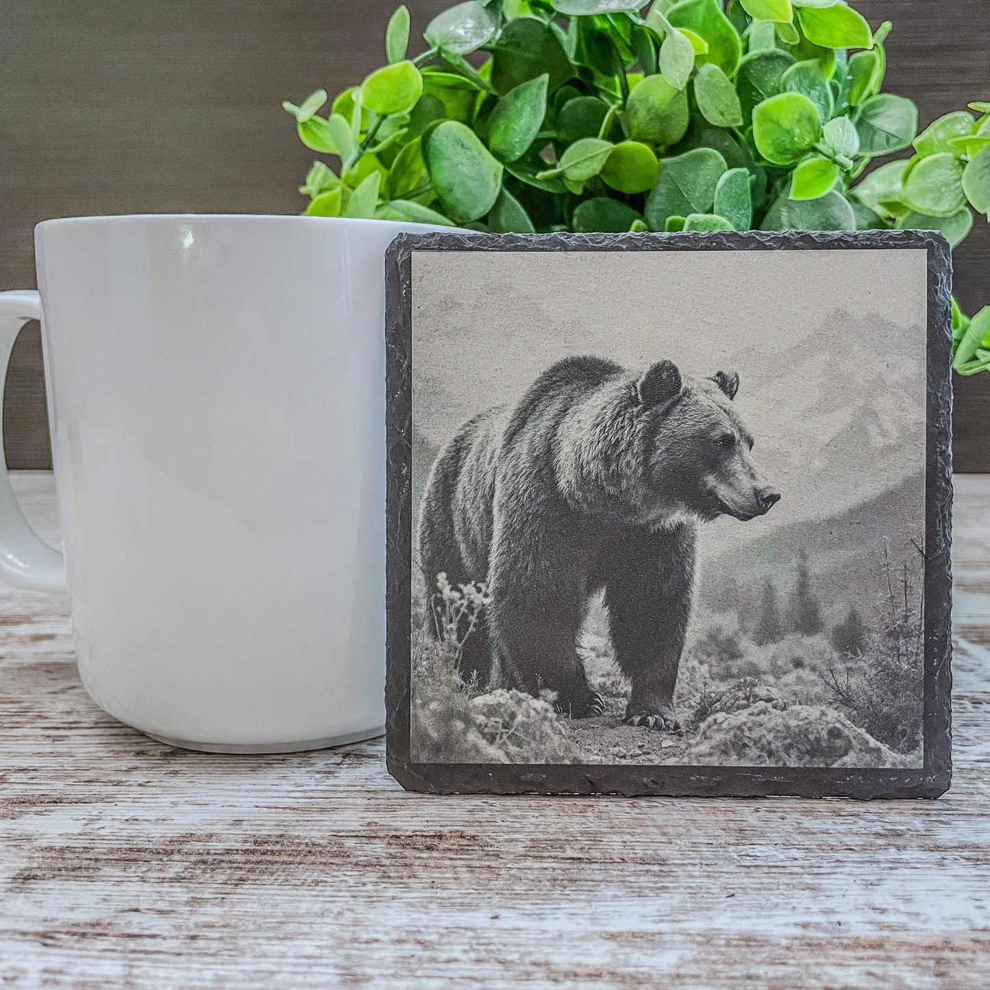 Slate Coasters with Bear Wildlife Scenes – Rustic Drink Coasters for Nature Lovers, Cabin Décor, and Gifts