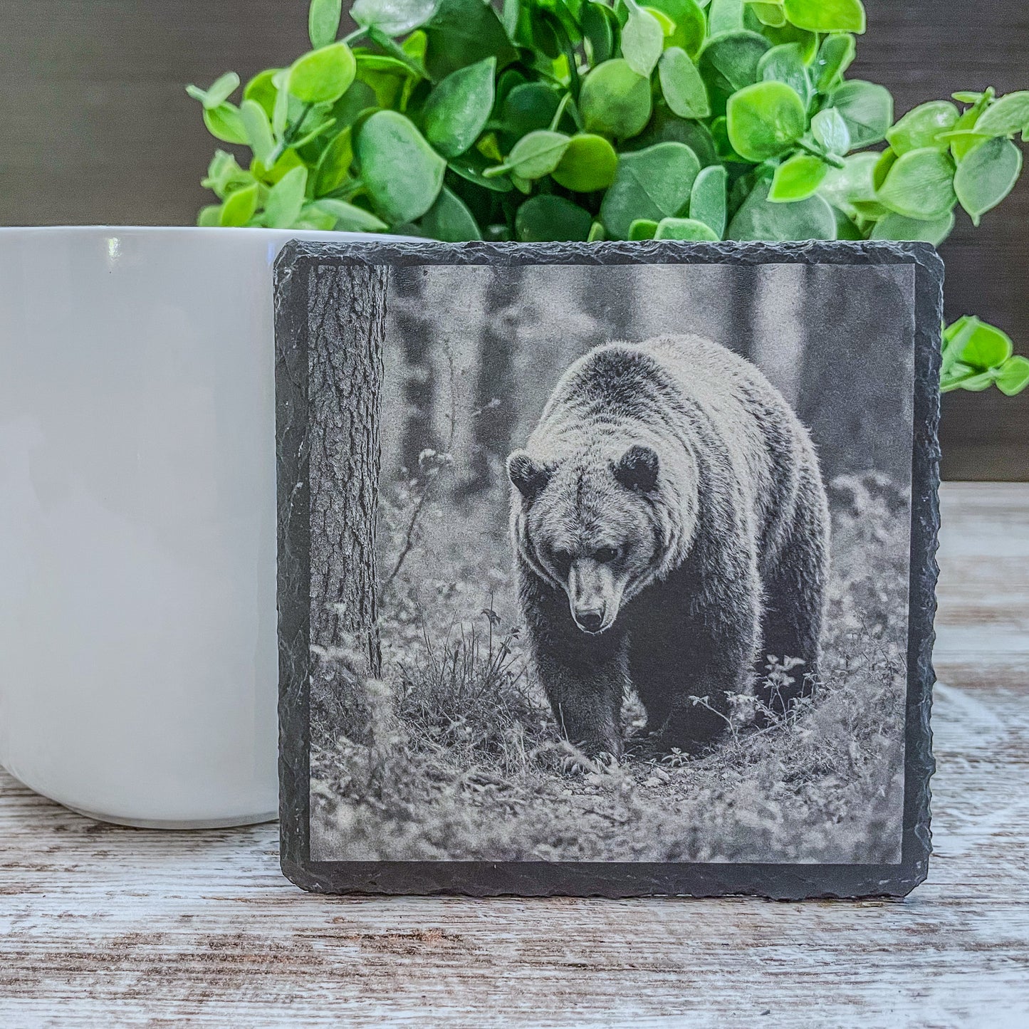 Slate Coasters with Bear Wildlife Scenes – Rustic Drink Coasters for Nature Lovers, Cabin Décor, and Gifts