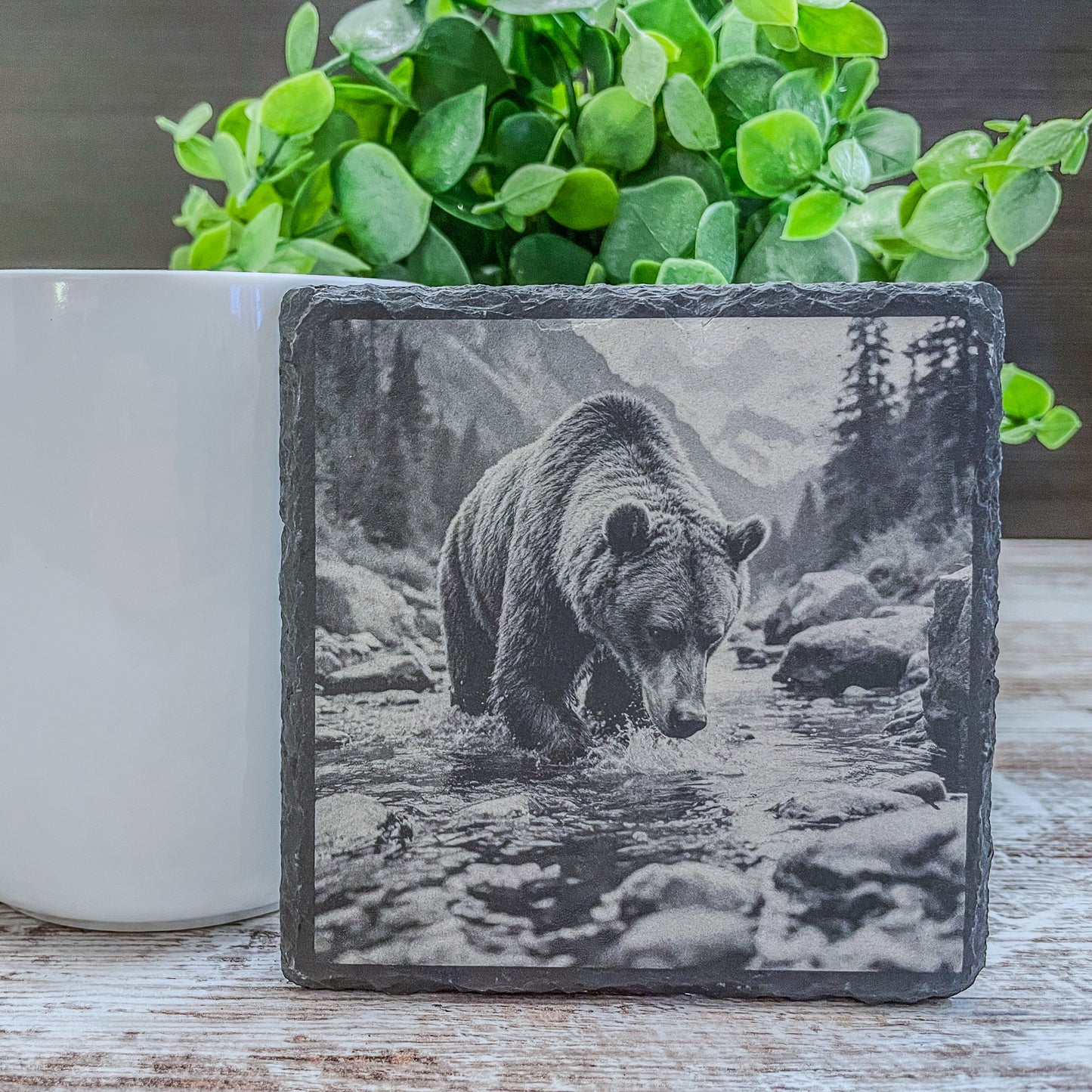 Slate Coasters with Bear Wildlife Scenes – Rustic Drink Coasters for Nature Lovers, Cabin Décor, and Gifts