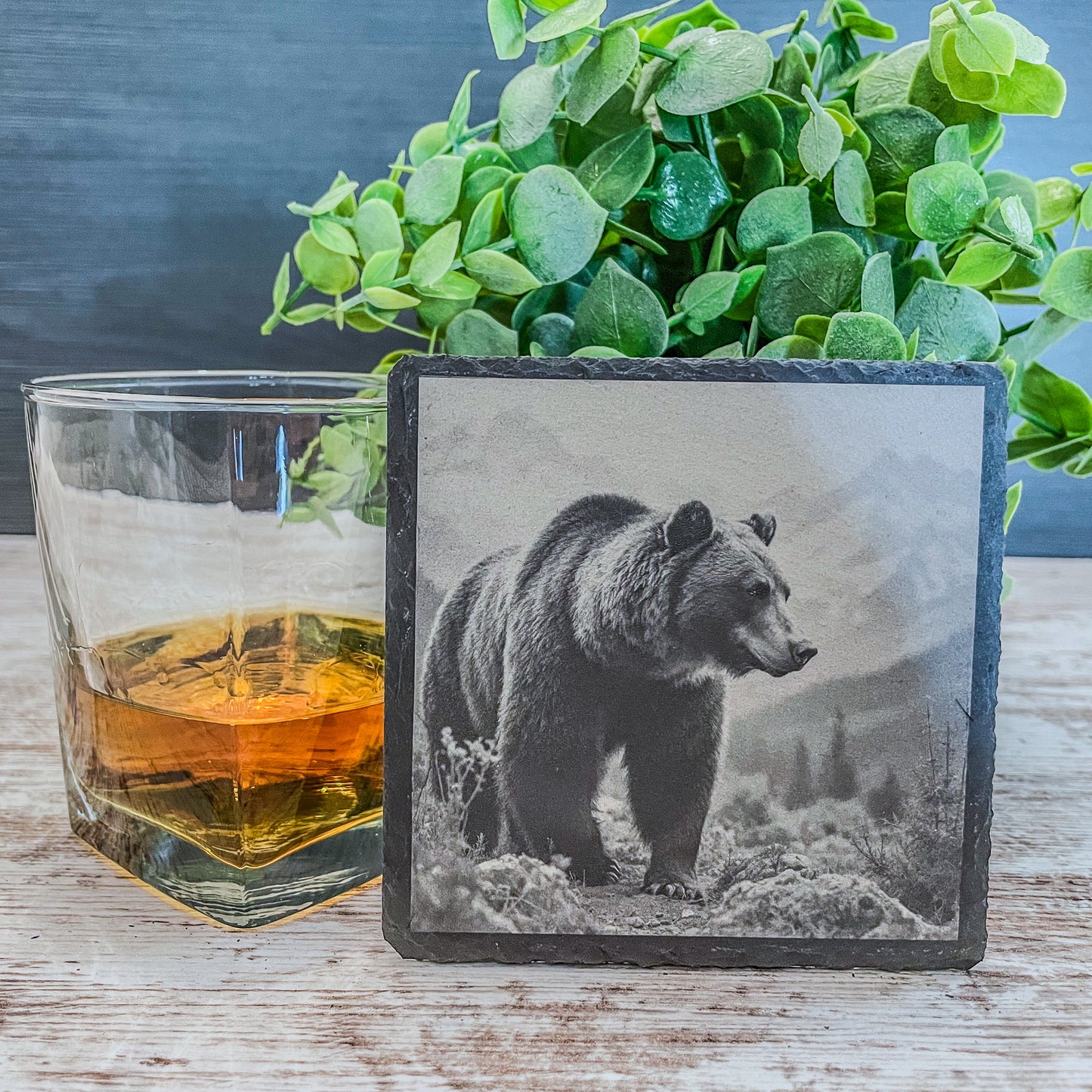 Slate Coasters with Bear Wildlife Scenes – Rustic Drink Coasters for Nature Lovers, Cabin Décor, and Gifts