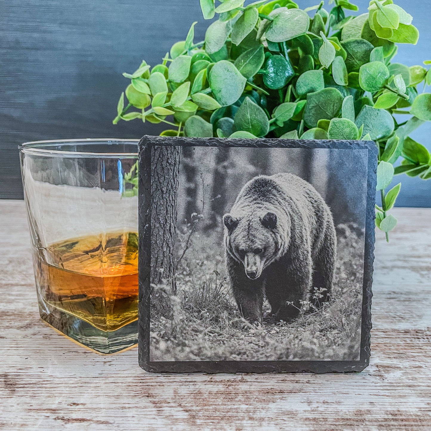 Slate Coasters with Bear Wildlife Scenes – Rustic Drink Coasters for Nature Lovers, Cabin Décor, and Gifts