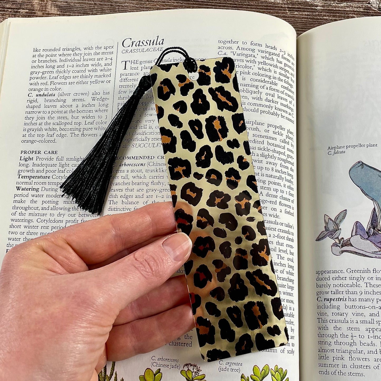 Leopard Print Acrylic Bookmark – Cute Book Lover Gift – Stylish Reading Tracker