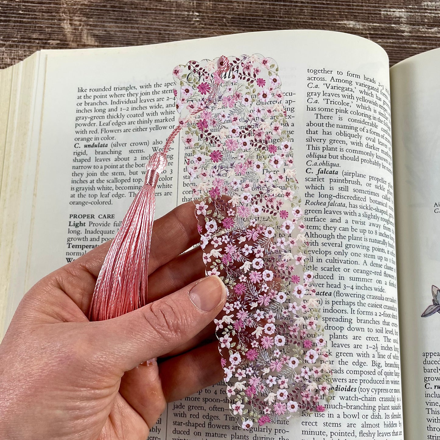 Pink Floral Acrylic Bookmark with Scalloped Edges | Gift for Book Lovers & Her | Mother's Day Gift