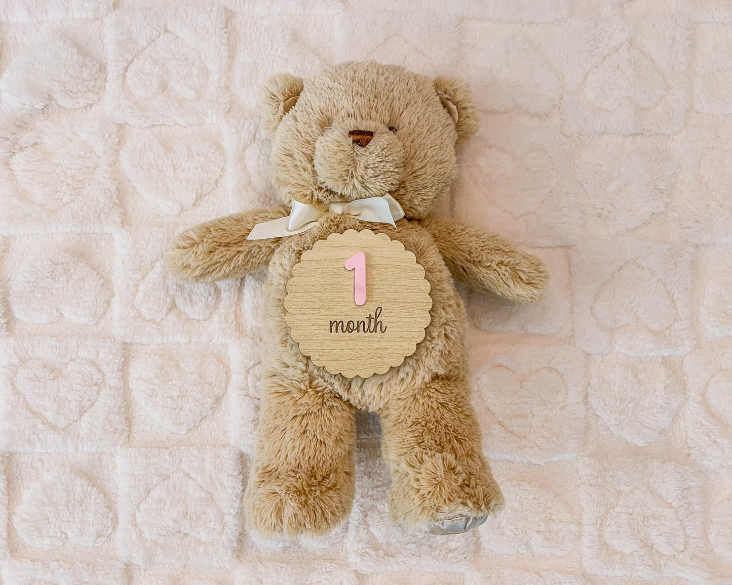Baby Milestone Markers – Monthly Photo Props - Baby Shower Gift