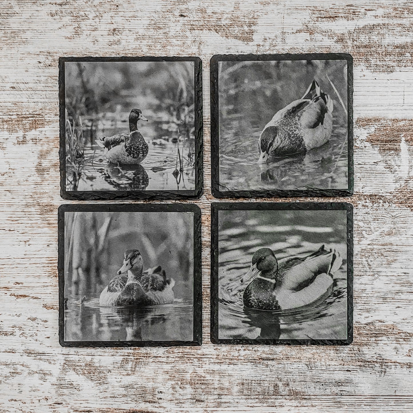 Slate Coasters | Mallard Ducks | Gift for Him | Gift for Husband | Bar Decor | Cabin Decor | Rustic Decor