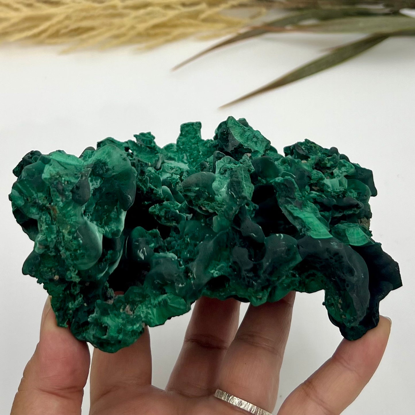 Whimsical Owl Bookmark – Wizard-Inspired Gift – Fantasy Bookmark for Readers – Bookish Gift – Magical Animal Bookmark