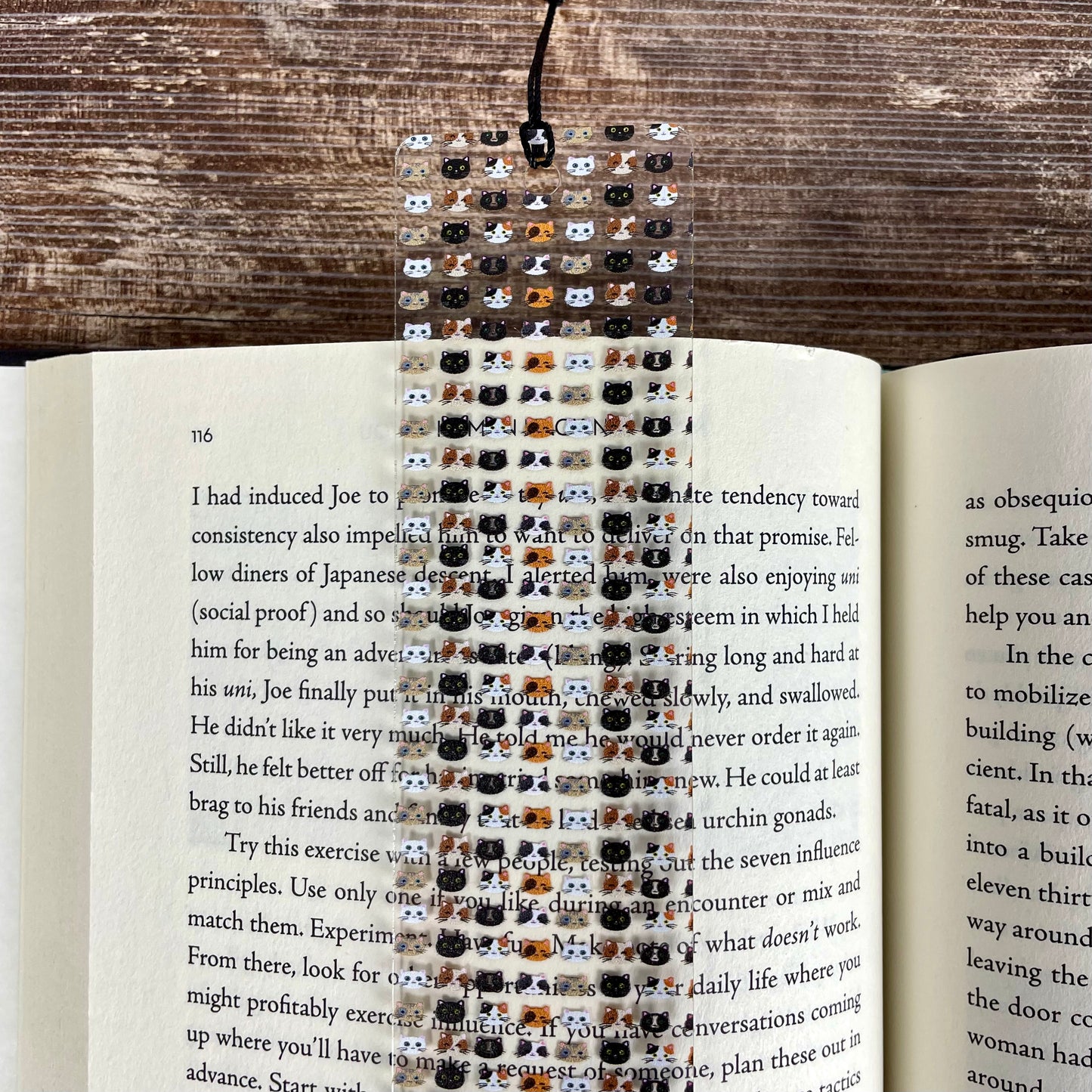 Cat Lover Bookmark – Cute Bookmark for Readers, Perfect for Bookworms, Students, Teachers – Gift for Cat Moms, Dads, & Crazy Cat Ladies