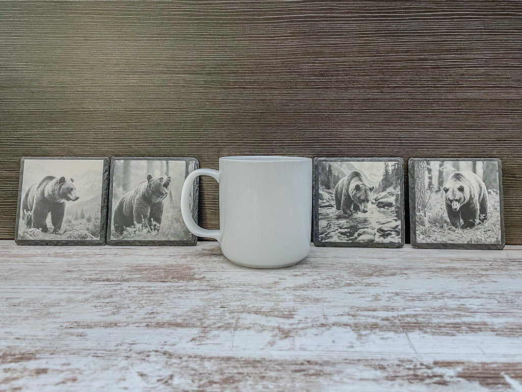 Set of 4 slate coasters with grizzly bears in wildlife