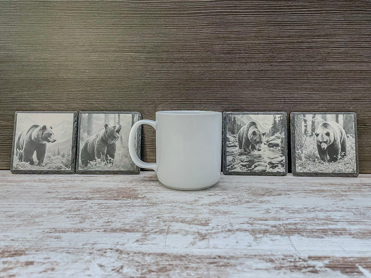 Set of 4 slate coasters with grizzly bears in wildlife