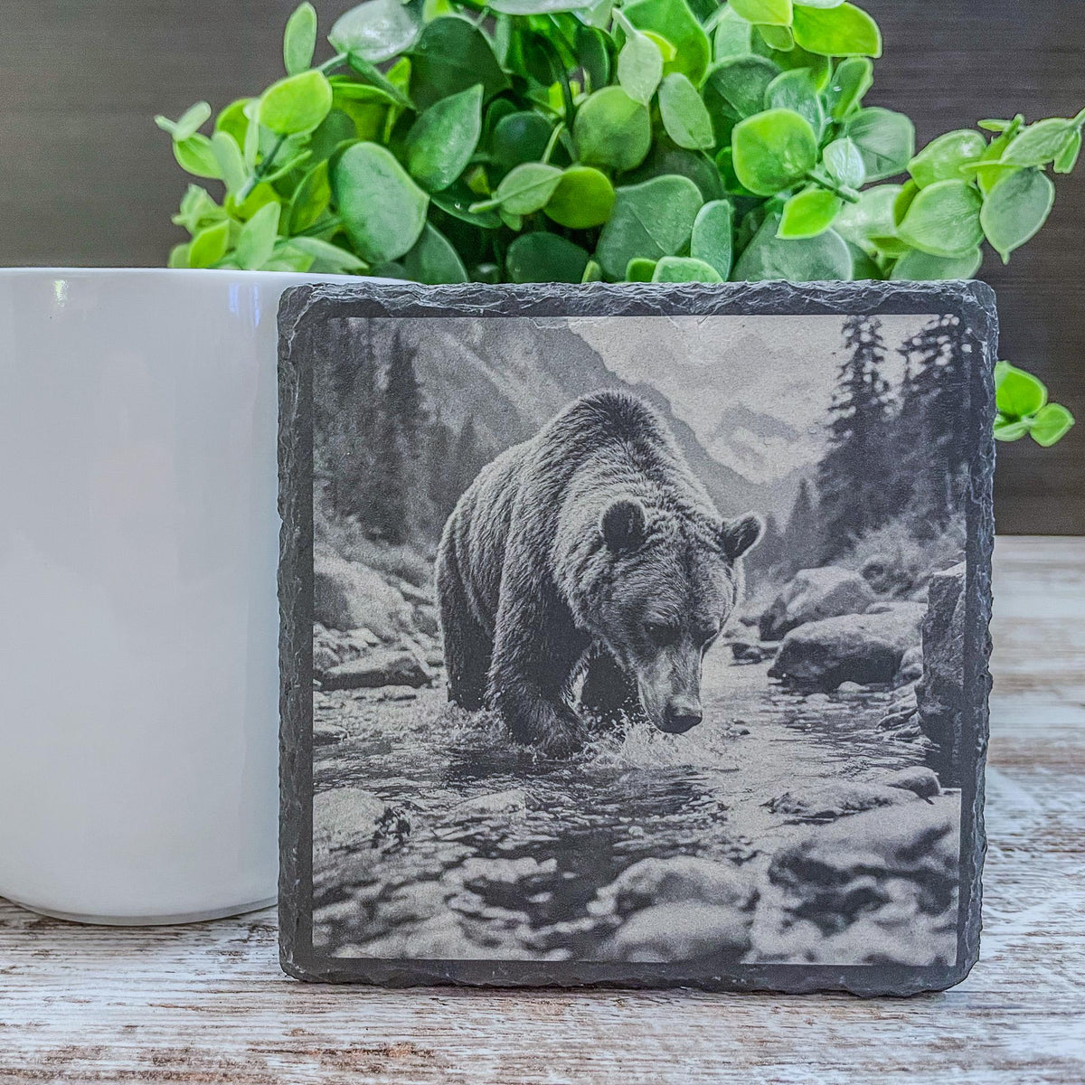 Set of 4 slate coasters with grizzly bears in wildlife