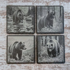 Set of 4 slate coasters with grizzly bears in wildlife
