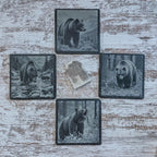 Set of 4 slate coasters with grizzly bears in wildlife
