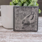Mallard duck looking for food in marsh engraved on a slate coaster
