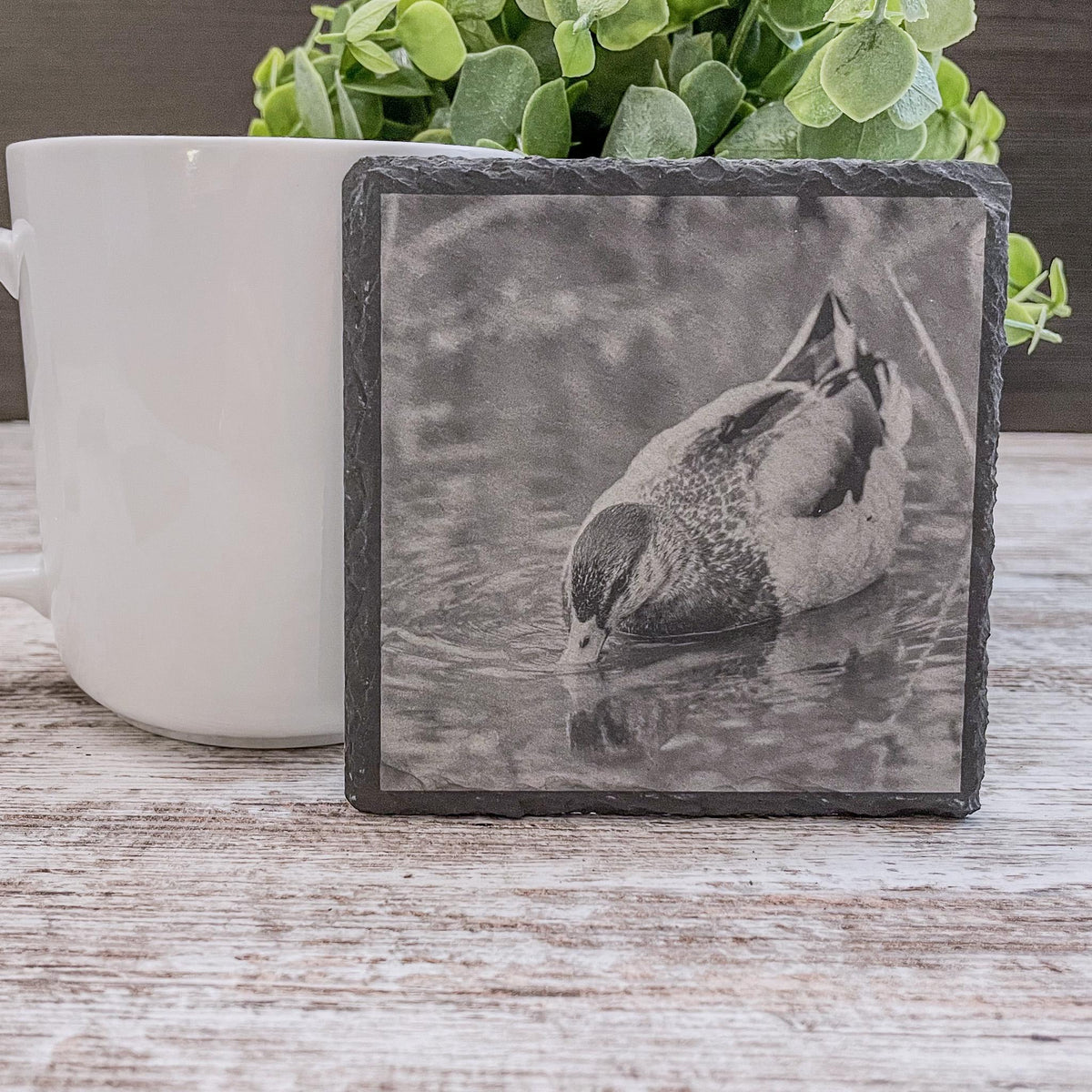 Mallard duck looking for food in marsh engraved on a slate coaster