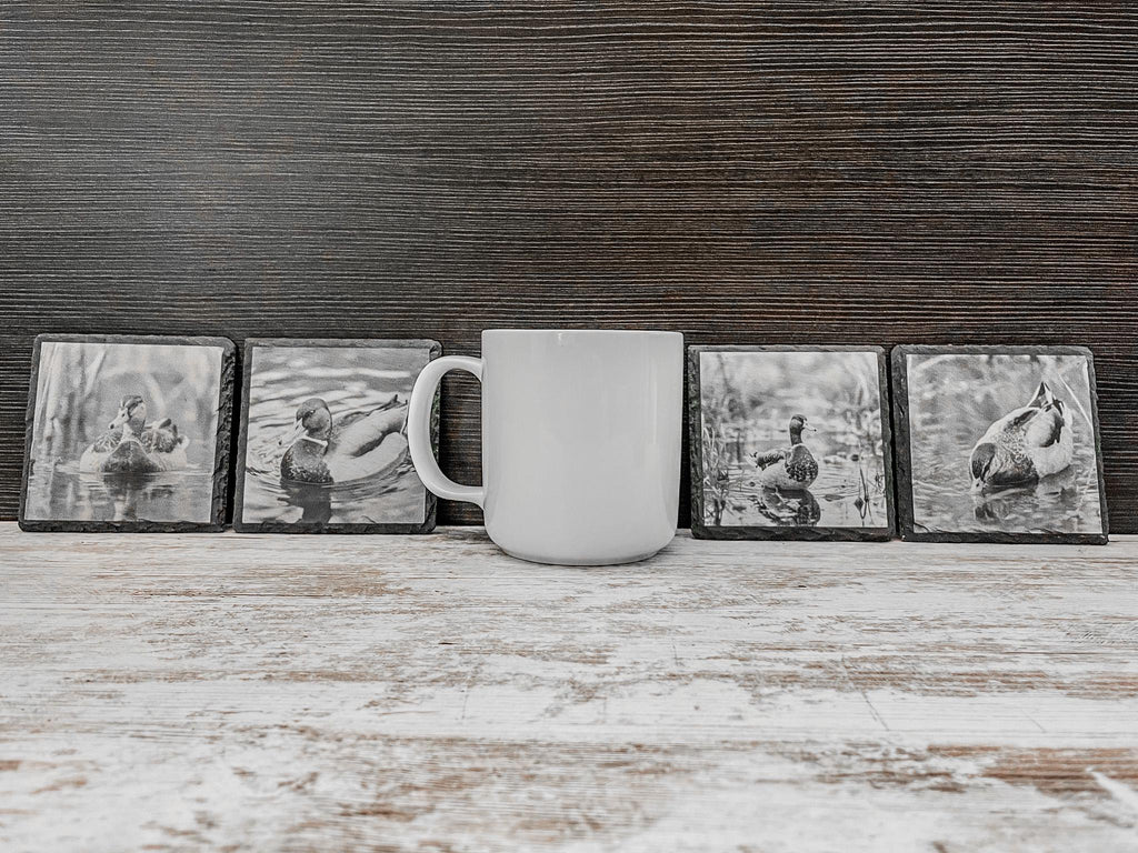 Set of slate coasters with mallard ducks in nature