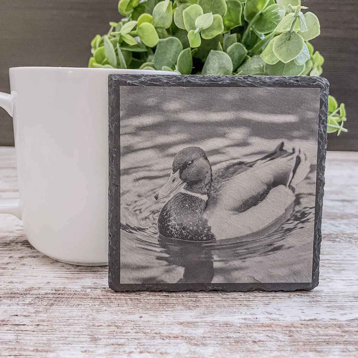 Mallard duck swimming in lake engraved on slate coaster