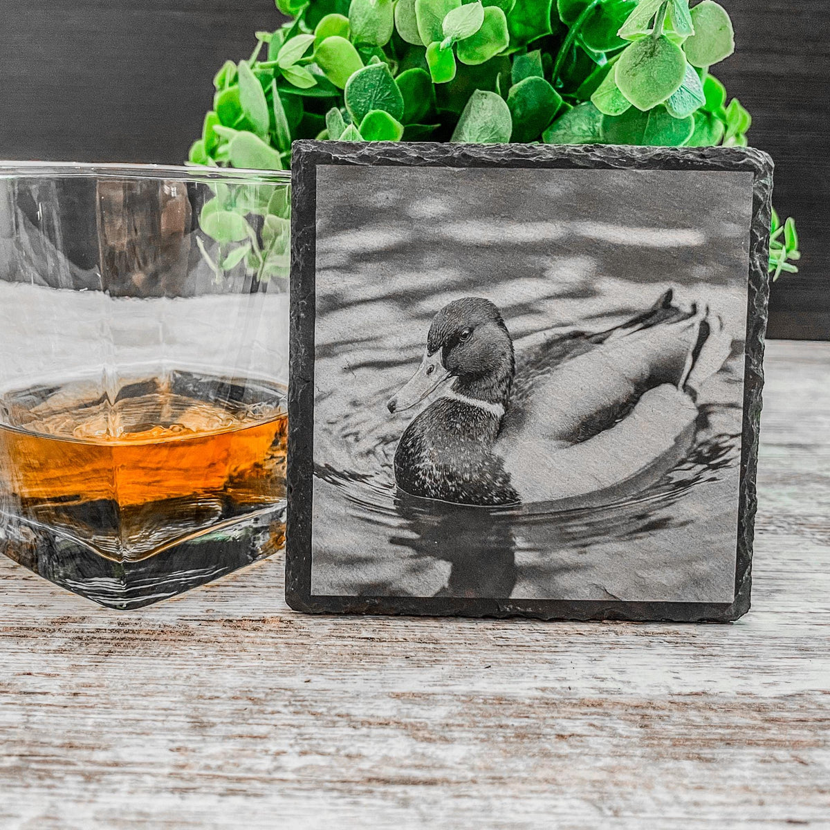Engraved Mallard Duck Slate Coasters – Rustic Home & Bird Lover Gift