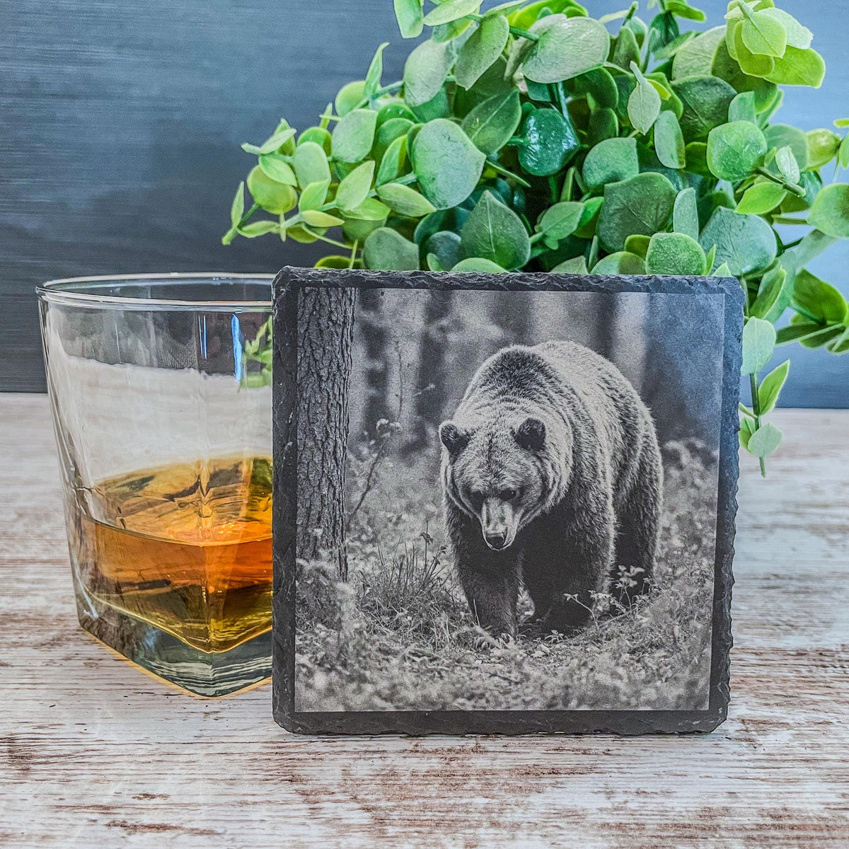 Engraved Bear Slate Coasters (Set of 4) - Rustic Cabin Decor
