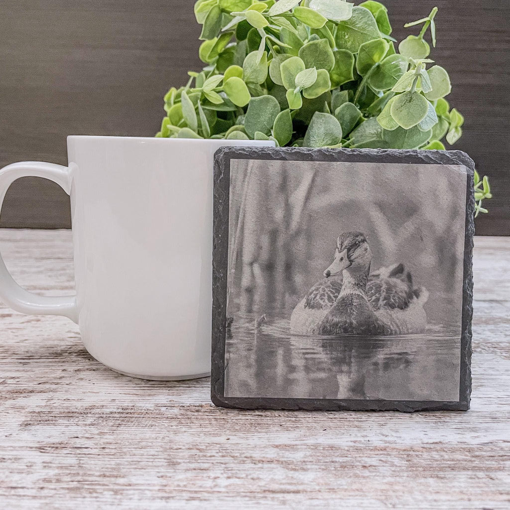 Mallard duck in cattails engraved on a slate coaster