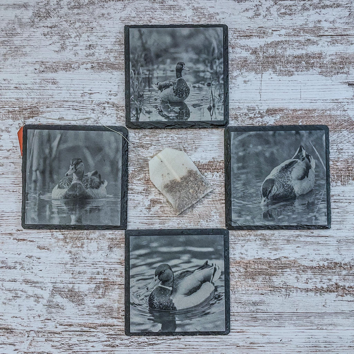 Set of slate coasters with mallard ducks in nature