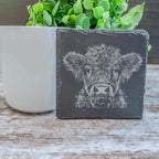 Highland cow pictures laser engraved on slate coasters, perfect for fans of cows!