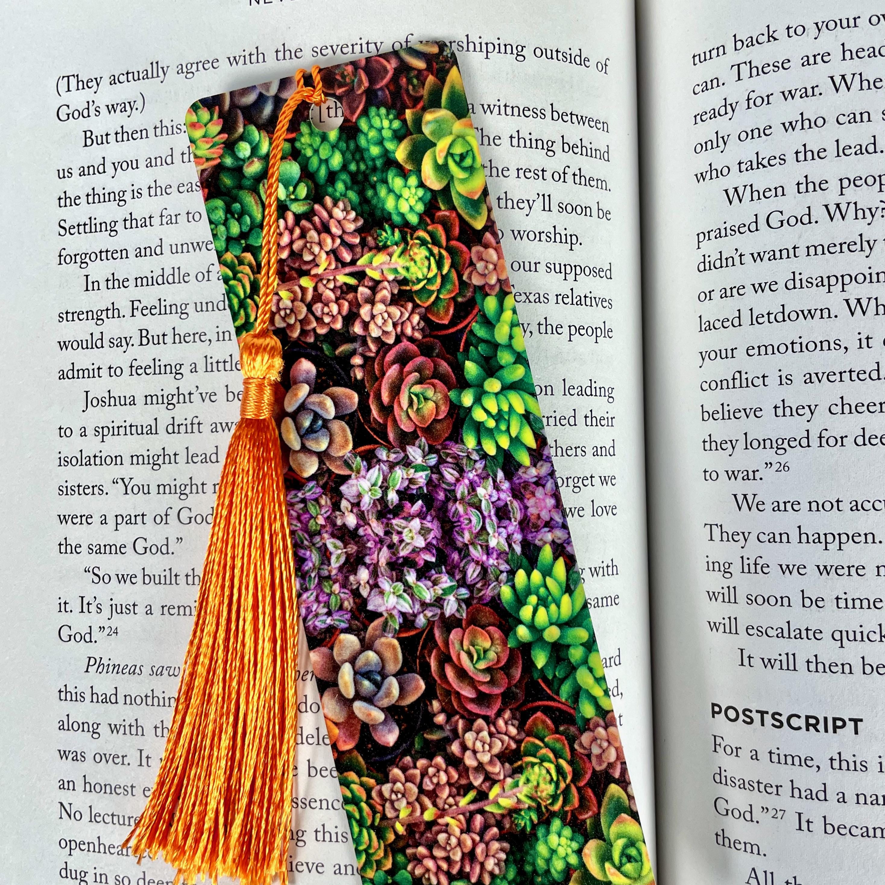 Cactus and Succulent Bookmark Gift Set Makes a Colorful Gardener Gift, Houseplant Lover Gift or Stocking Stuffer
