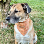 Personalized Dog Bandana, Orange Plaid Scrunchie Bandana with Embroidered Name, Slip-On Autumn Dog Accessory