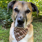 Personalized Dog Bandana, Custom Embroidered Name, Slip-On Scrunchie Dog Scarf, Autumn Pet Accessory