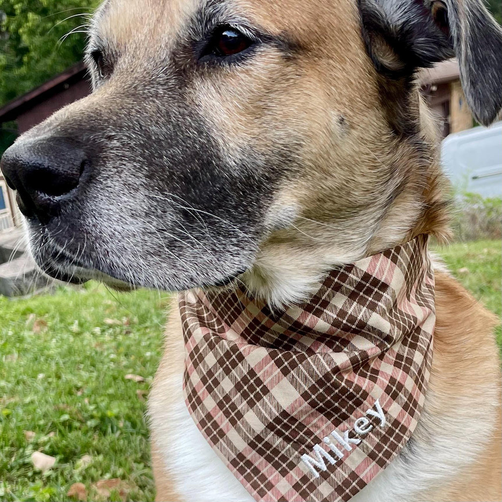 Personalized Dog Bandana, Custom Embroidered Name, Slip-On Scrunchie Dog Scarf, Autumn Pet Accessory