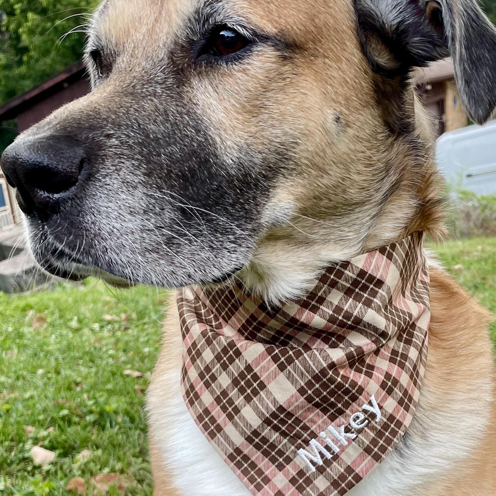 Personalized Dog Bandana, Custom Embroidered Name, Slip-On Scrunchie Dog Scarf, Autumn Pet Accessory