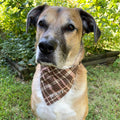 Personalized Dog Bandana, Custom Embroidered Name, Slip-On Scrunchie Dog Scarf, Autumn Pet Accessory