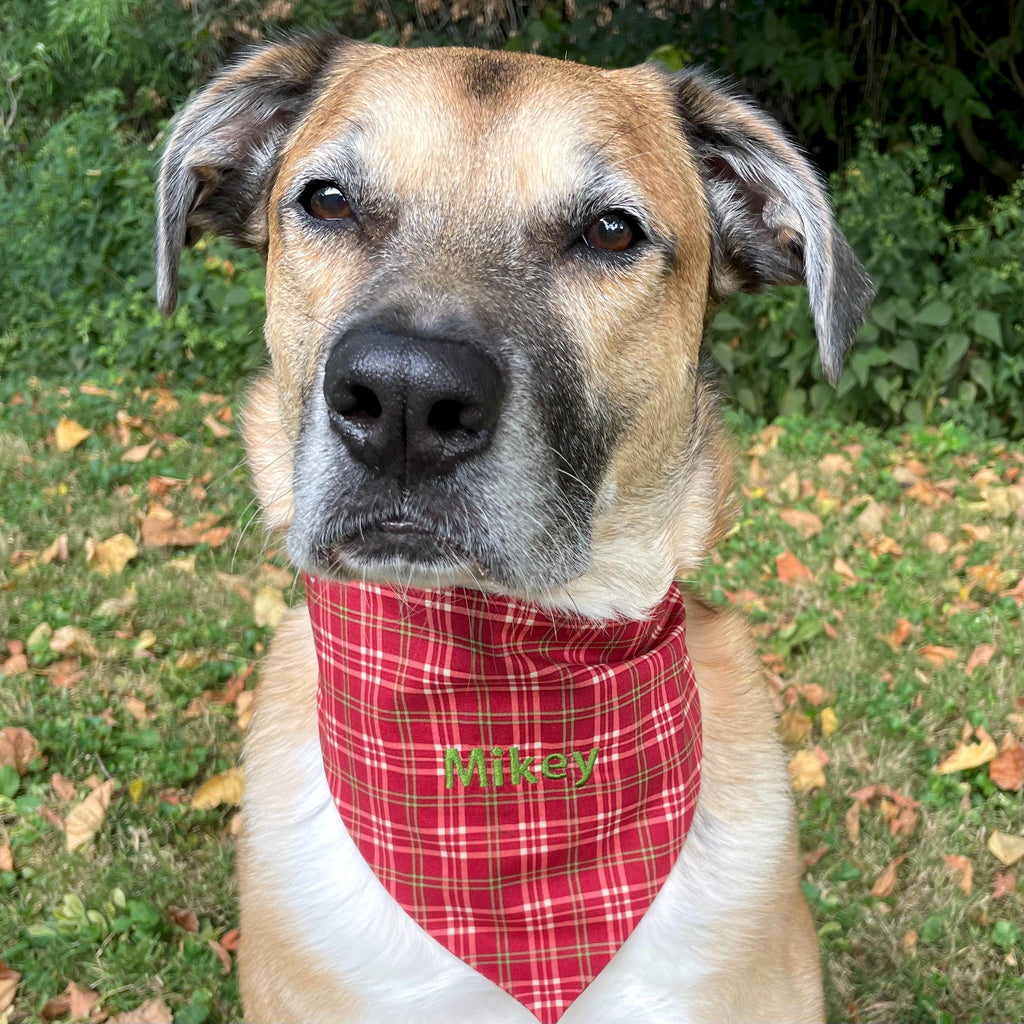 Personalized Red Plaid Dog Bandana with Custom Embroidery and a Scrunchie Neck