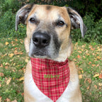 Personalized Red Plaid Dog Bandana with Custom Embroidery and a Scrunchie Neck