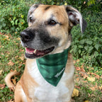 Personalized Green Plaid Dog Bandana with Custom Embroidery and a Scrunchie Neck