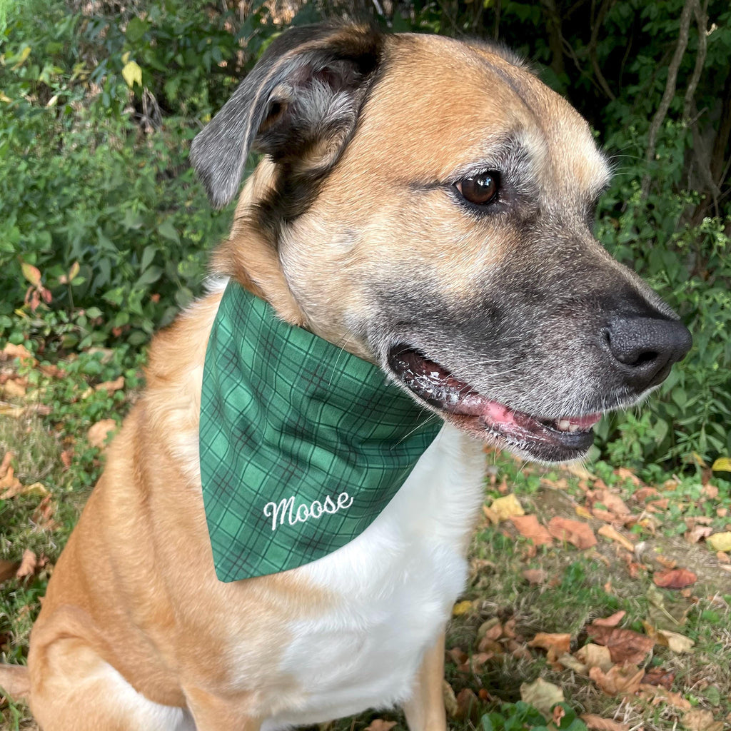 Personalized Green Plaid Dog Bandana with Custom Embroidery and a Scrunchie Neck