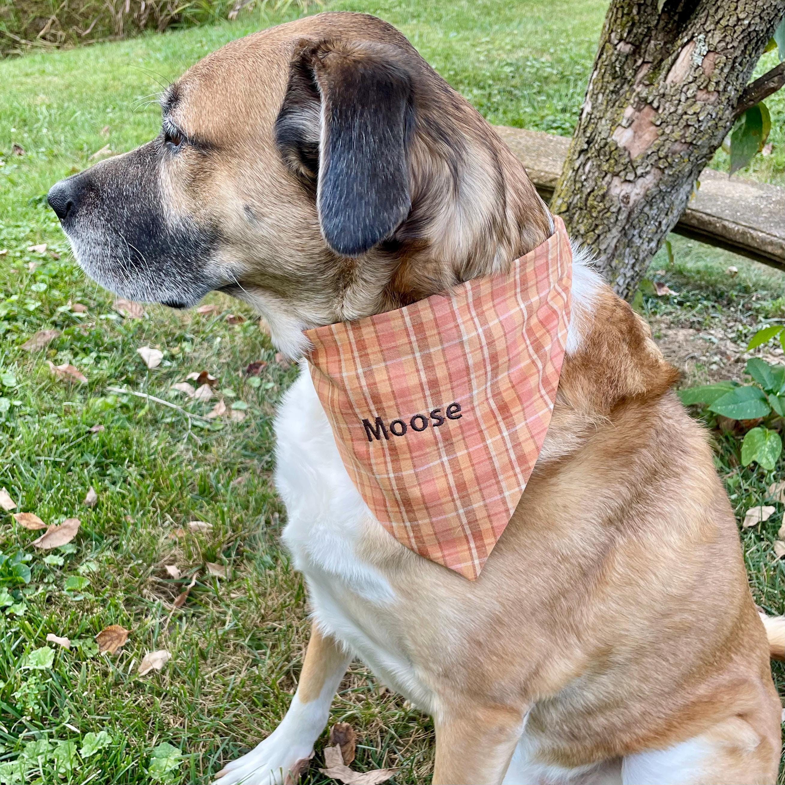 Personalized Dog Bandana, Orange Plaid Scrunchie Bandana with Embroidered Name, Slip-On Autumn Dog Accessory
