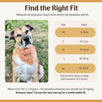 Personalized Dog Bandana, Orange Plaid Scrunchie Bandana with Embroidered Name, Slip-On Autumn Dog Accessory