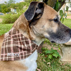 Personalized Dog Bandana, Custom Embroidered Name, Slip-On Scrunchie Dog Scarf, Autumn Pet Accessory