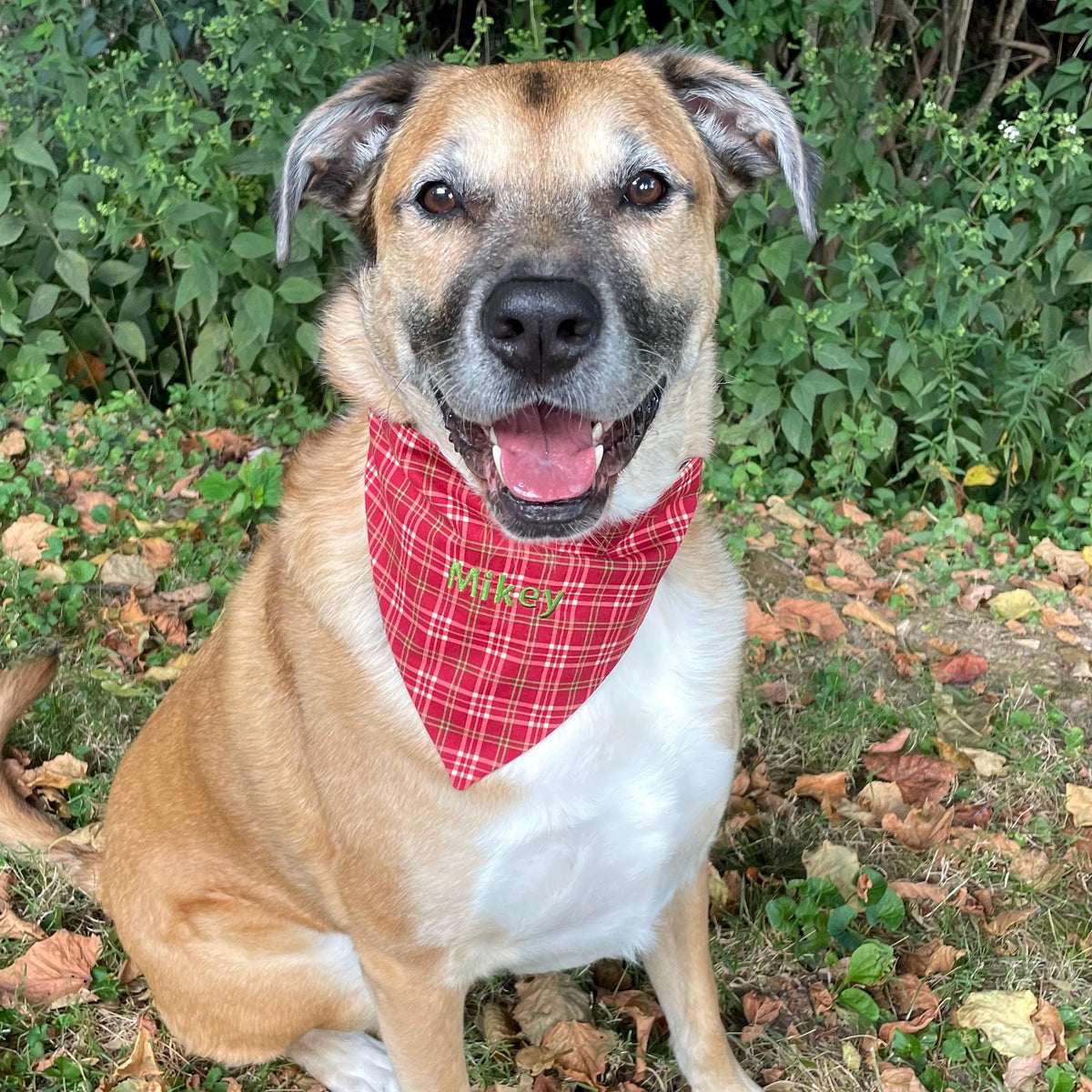Personalized Red Plaid Dog Bandana with Custom Embroidery and a Scrunchie Neck