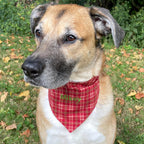 Personalized Red Plaid Dog Bandana with Custom Embroidery and a Scrunchie Neck