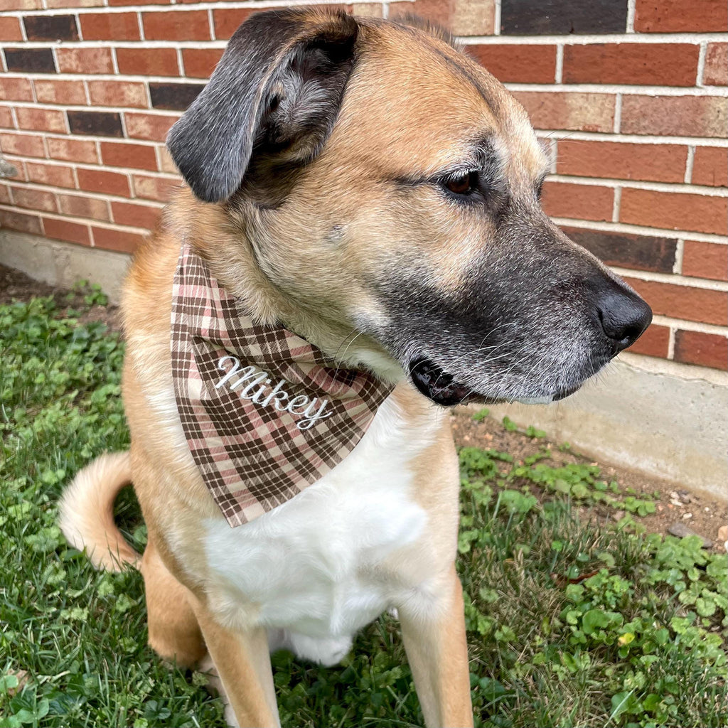 Personalized Dog Bandana, Custom Embroidered Name, Slip-On Scrunchie Dog Scarf, Autumn Pet Accessory